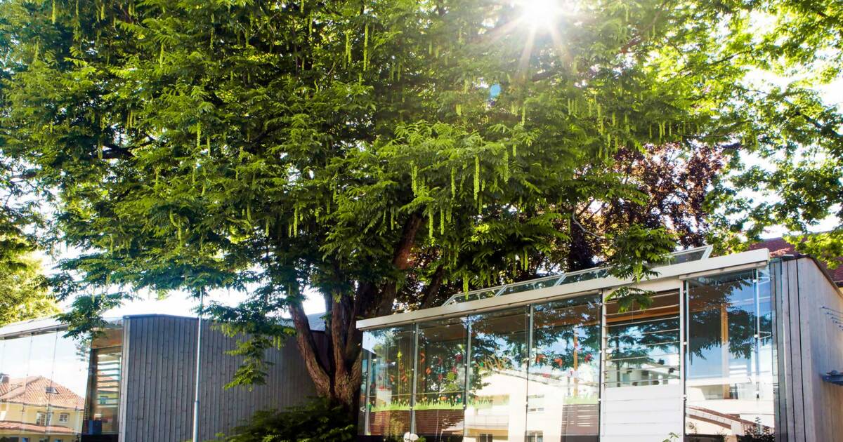 170504_iR_Magazin_O01F1974_2 170504_iR_Magazin_O01F1974_2