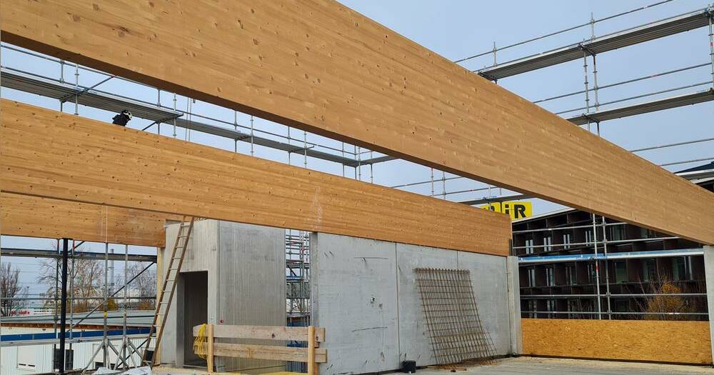 rückbau_blz_holzträger rückbau_blz_holzträger